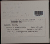 Image Associated With the Occurence